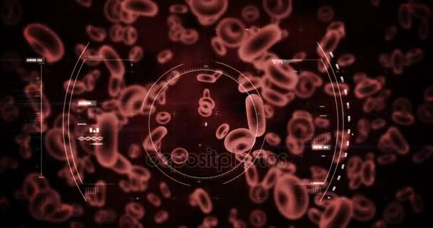 Digitally generated virus cells and red blood cells against black background — Stock Video