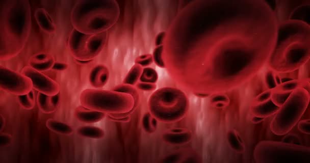 Digital generated red blood cells flowing through the arteries — Stock Video