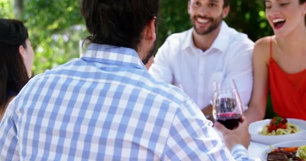 Group of friends toasting wine glasses — Stock Video