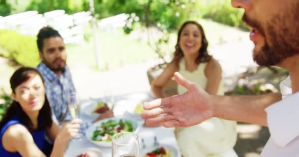 Gruppe von Freunden stößt beim Mittagessen auf Sektgläser an — Stockvideo