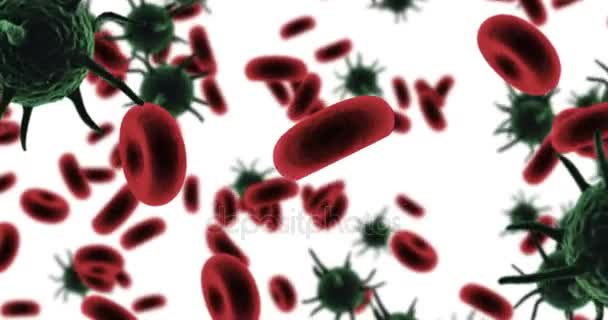 Células víricas generadas digitalmente y glóbulos rojos contra fondo blanco — Vídeo de stock