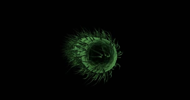 Digital generated bacteria cell against black background — Stock Video