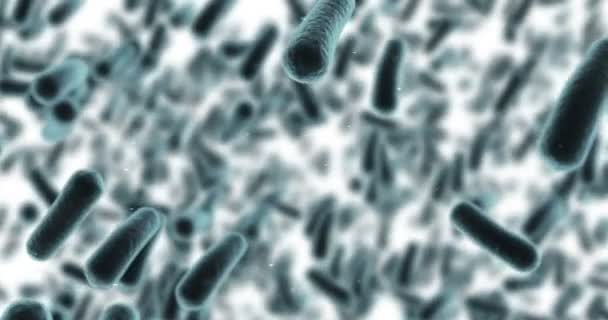 Células bacterianas generadas digitalmente que fluyen sobre fondo blanco — Vídeo de stock