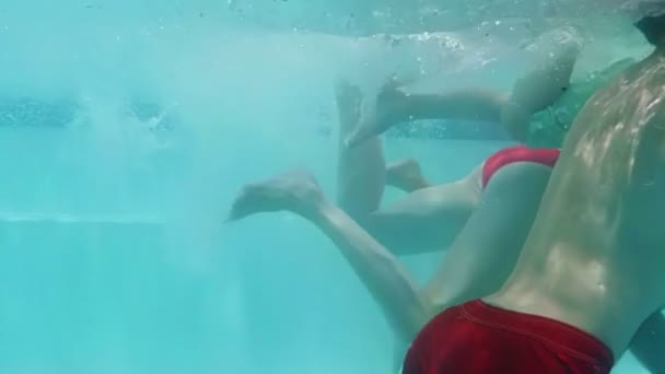 Piscine familiale dans la piscine — Video