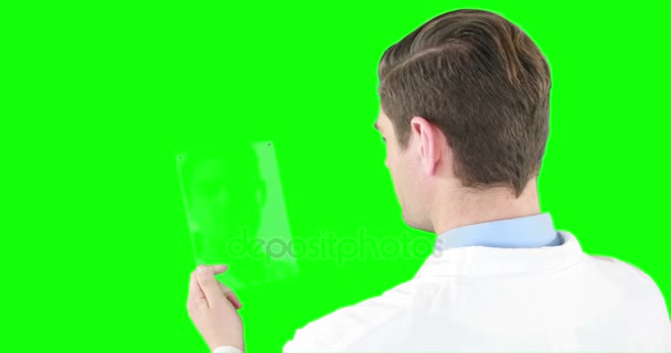 Doctor using futuristic tablet — Stock Video