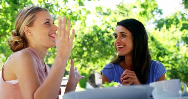 Femmes interagissant les unes avec les autres au restaurant — Video