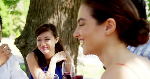 Group of friends interacting with each other while having lunch — Stock Video