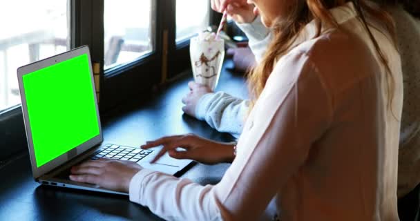 Wanita duduk di restoran dan menggunakan laptop — Stok Video