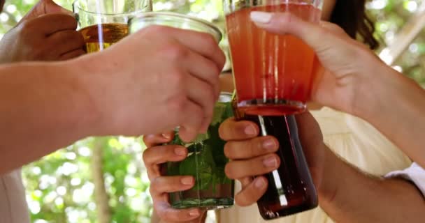 Group of friends toasting drink glasses — Stock Video