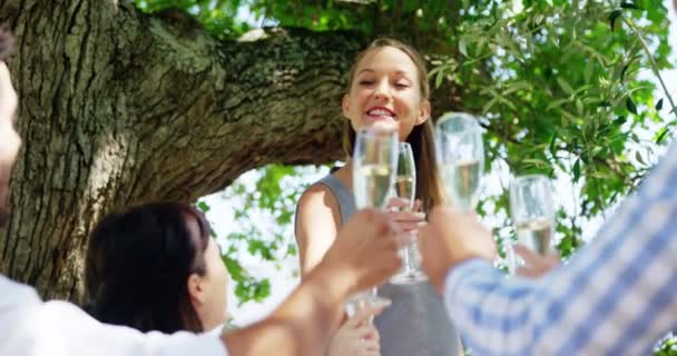 Groep vrienden roosteren champagneglazen terwijl het hebben van lunch — Stockvideo