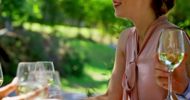 Vrienden interactie met elkaar in restaurant — Stockvideo