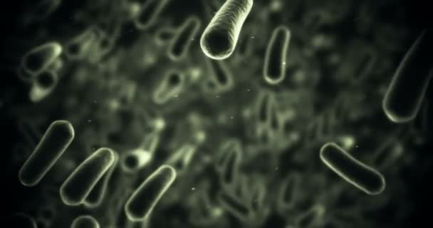 Células bacterianas generadas digitalmente que fluyen contra fondo negro — Vídeos de Stock