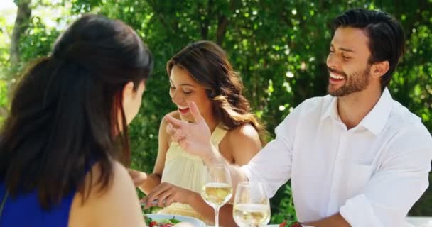 Gelukkig twee paren genieten van lunch — Stockvideo