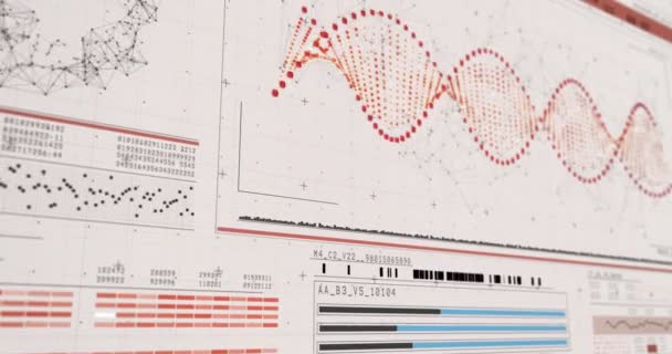 Estrutura de ADN gerada digitalmente — Vídeo de Stock