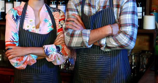 Портрет барменки і бармена, що стоїть з гербами, схрещеними за барною стійкою — стокове відео