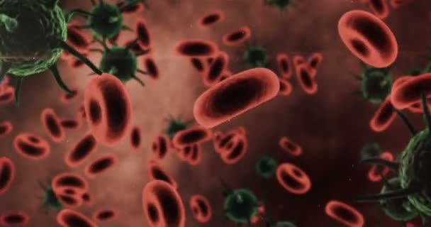 Células virais geradas digitalmente e sangue vermelho contra fundo vermelho — Vídeo de Stock