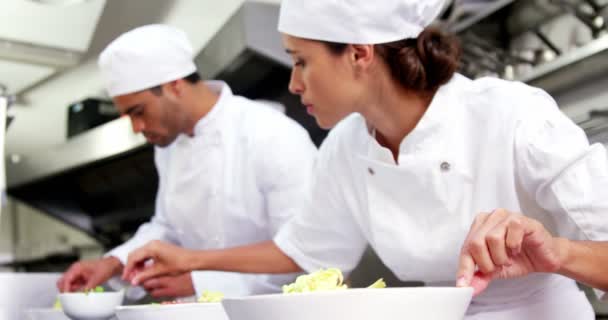 Chefs garnishing food dish — Stock Video