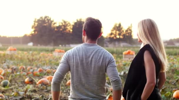 Pareja de pie en un campo de calabaza — Vídeos de Stock