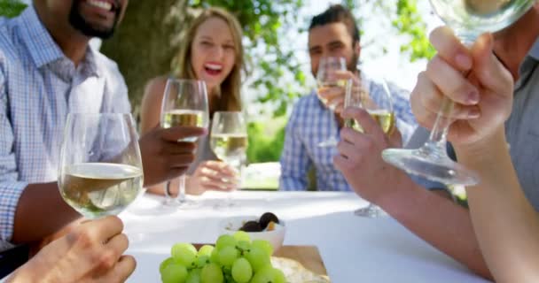 Grupo de amigos brindar copos de vinho — Vídeo de Stock