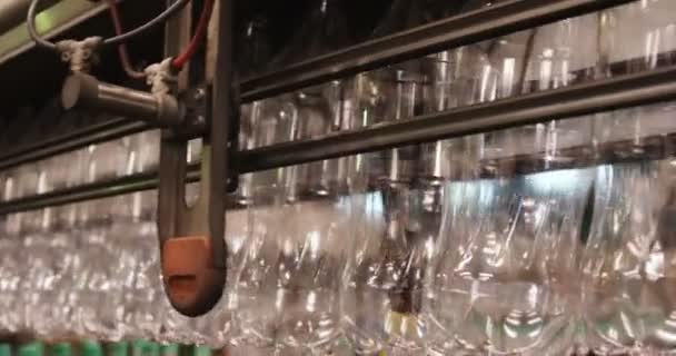 Ряди порожніх пляшок води на розливному заводі — стокове відео