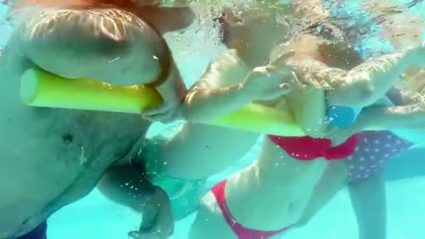 在游泳池中游泳的家庭 — 图库视频影像