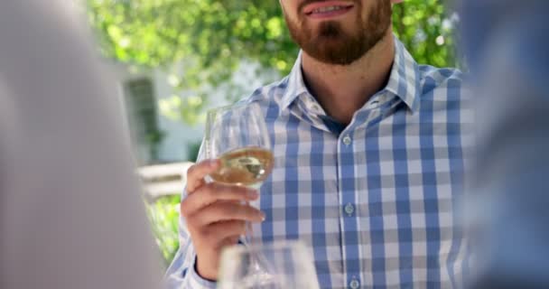Muž interakci s přáteli zároveň s vínem — Stock video