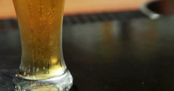 Close-up of chilled beer in glass — Stock Video