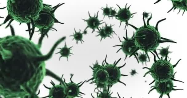 Células de vírus geradas digitalmente que fluem contra fundo branco — Vídeo de Stock