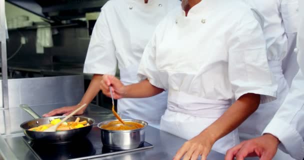 Team van koks proeven van voedsel in de keuken — Stockvideo