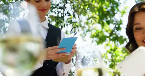 Waitress taking an order from couples — Stock Video