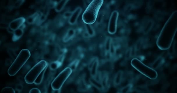 Células bacterianas generadas digitalmente que fluyen contra fondo negro — Vídeo de stock