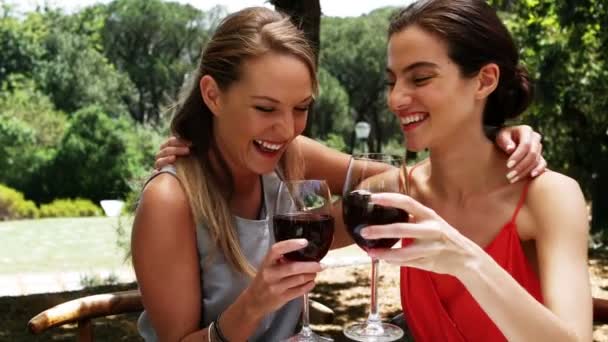 Sonriendo dos amigos tostando copas de vino — Vídeo de stock