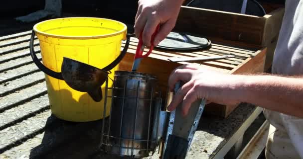 Μελισσοκόμος προετοιμασία καπνιστής για συγκομιδή στο μελισσοκομείο — Αρχείο Βίντεο
