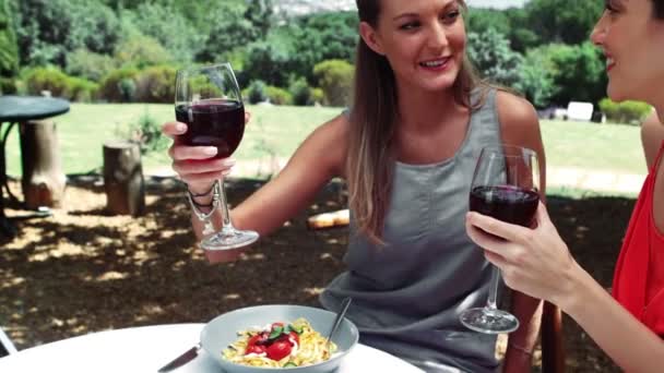Amigos sonrientes interactuando entre sí mientras beben vino tinto — Vídeos de Stock