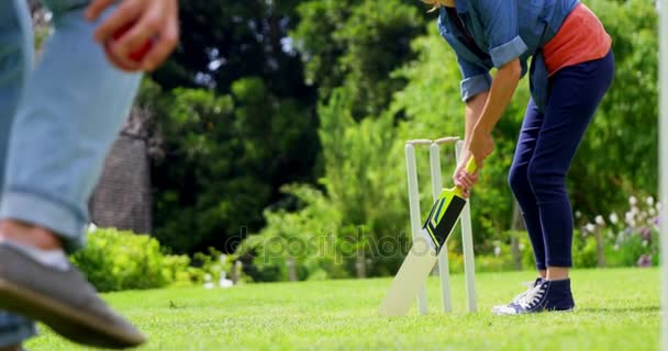 Pareja jugando cricket — Vídeo de stock