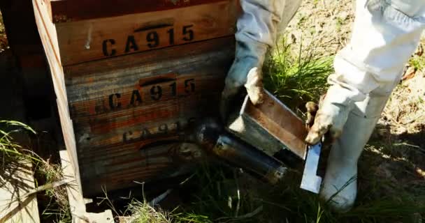 Imker rauchen die Bienen weg vom Bienenstock — Stockvideo