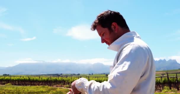 Apicultor vestindo beesuit enquanto se prepara para a colheita — Vídeo de Stock