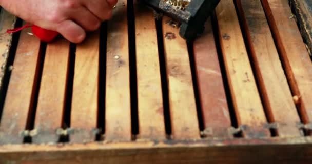 Beekeeper extracting honey from honeycomb in apiary — Stock Video