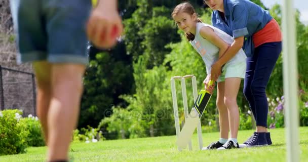 Семья играет в крикет в парке — стоковое видео