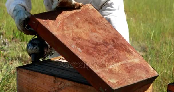 Beekeepers smoking the bees away from hive — Stock Video