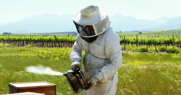 Imker rauchen die Bienen weg vom Bienenstock — Stockvideo