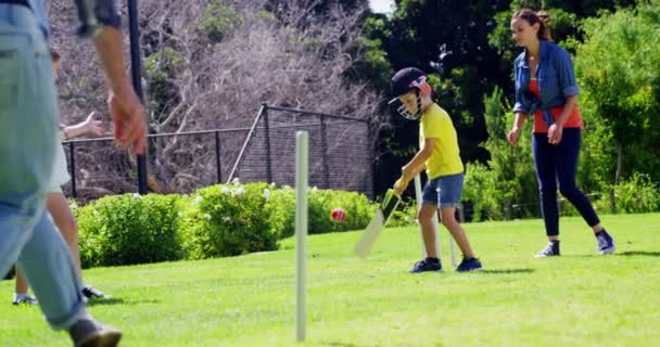 Οικογένεια παίζει κρίκετ στο πάρκο — Αρχείο Βίντεο