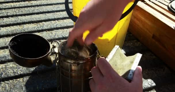 Пчеловод готовит курильщика к уборке на пасеке — стоковое видео