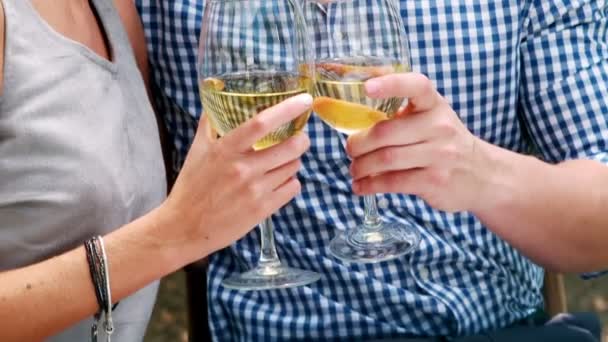 ロマンチックなカップルはワイングラスを焼くことを笑ってください。 — ストック動画