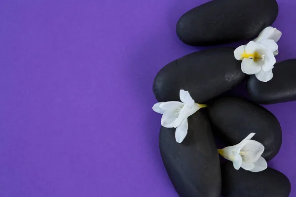Białe kwiaty na zen stone — Zdjęcie stockowe