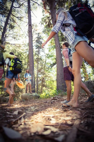 Groupe d'amis marchant ensemble en forêt — Photo