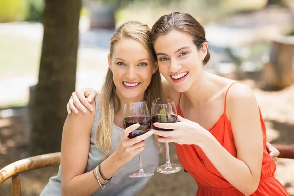 Amici felici brindare bicchieri di vino — Foto Stock