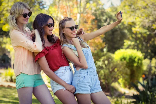 Amici che scattano selfie con il cellulare — Foto Stock