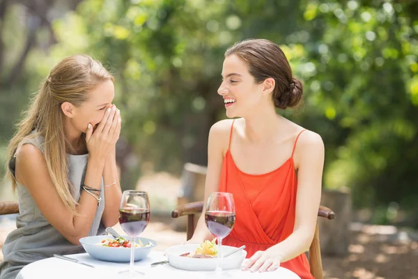 Amici che ridono al ristorante — Foto Stock