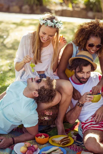 Freunde picknicken im Park — Stockfoto